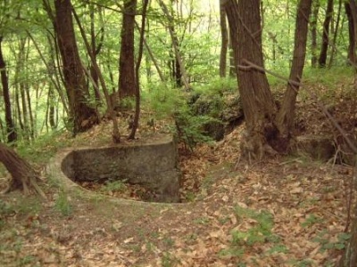 Parco Spina verde